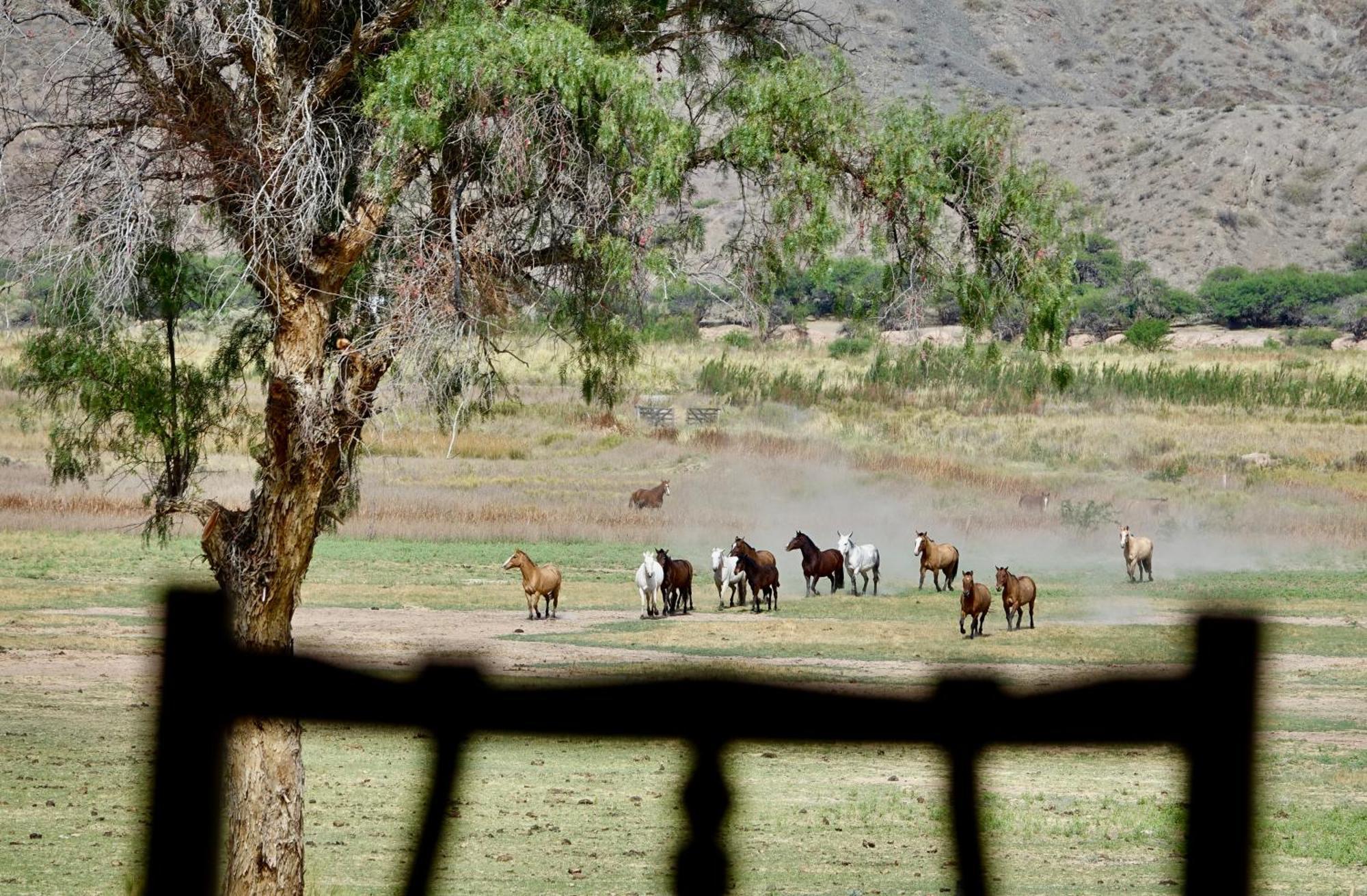 Estancia Banda Grande - Horse & Hiking Safaris Molinos Eksteriør billede