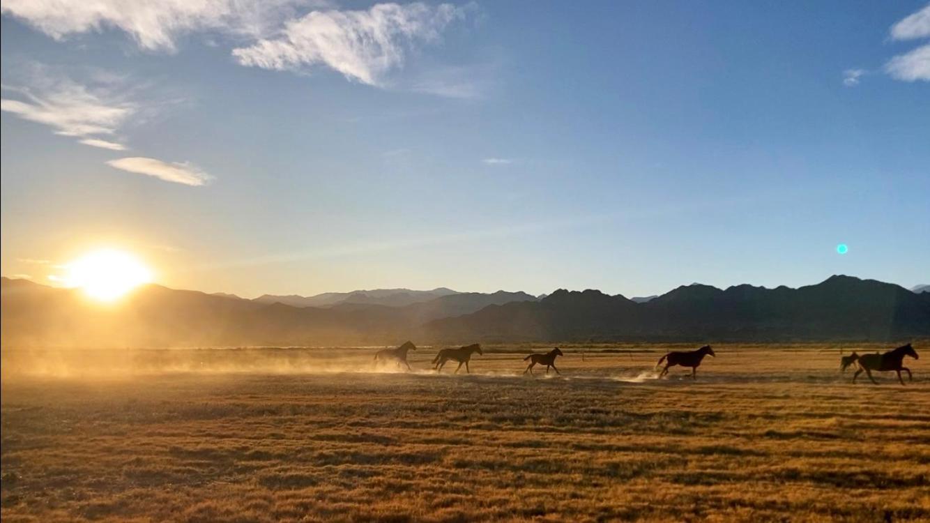 Estancia Banda Grande - Horse & Hiking Safaris Molinos Eksteriør billede