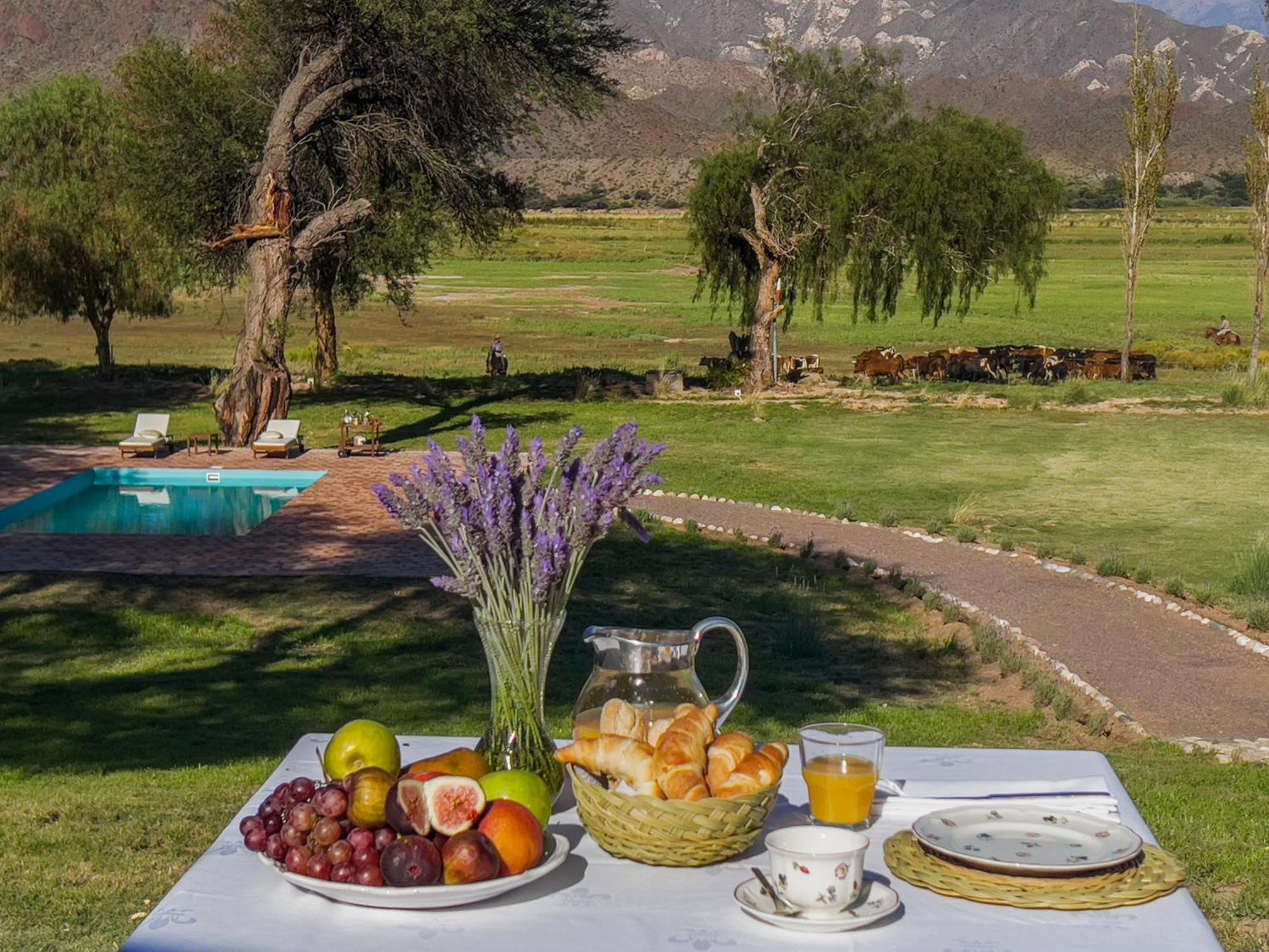 Estancia Banda Grande - Horse & Hiking Safaris Molinos Eksteriør billede